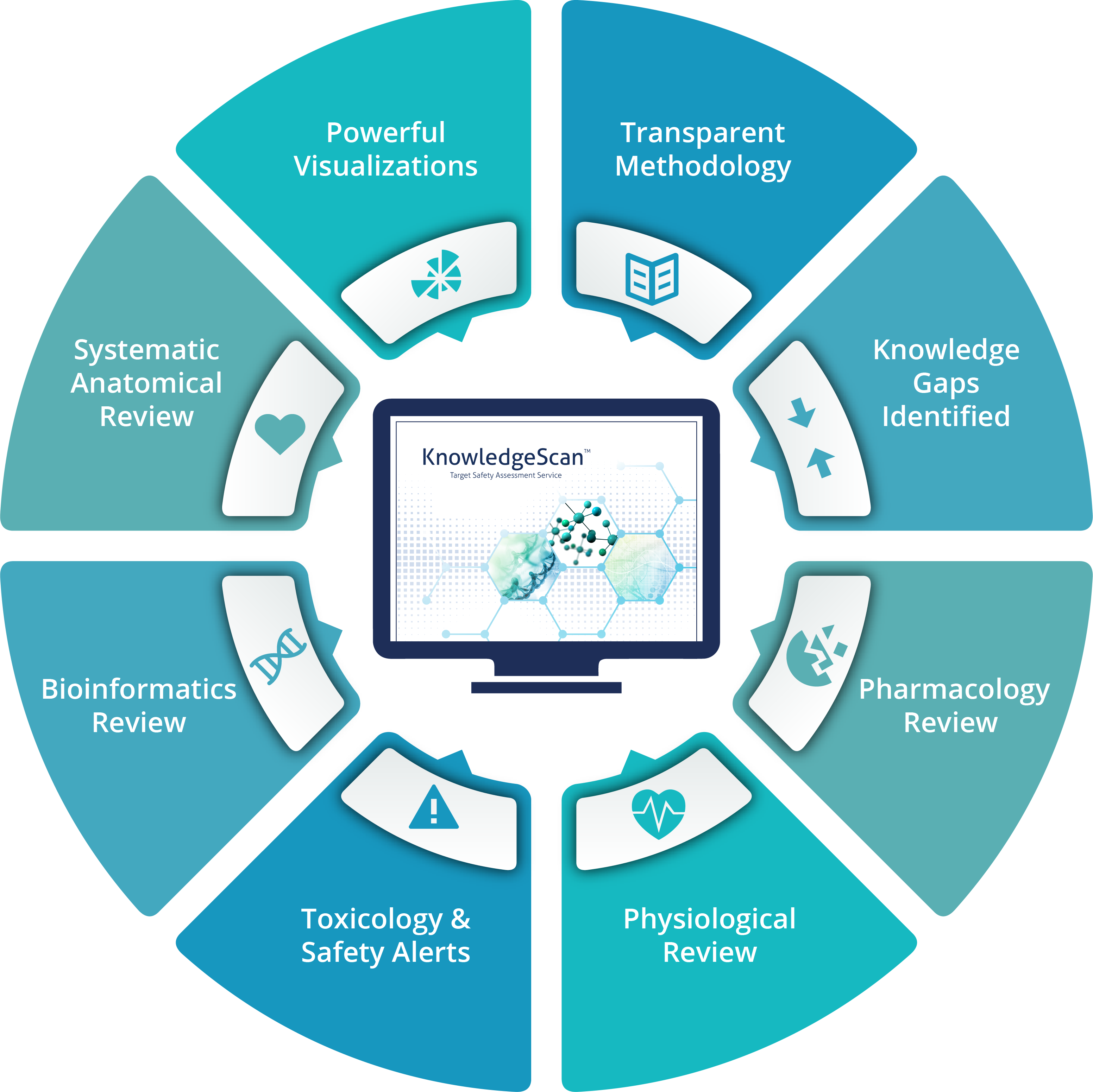 Diagram showing the various elements of the KnowledgeScan TSA report